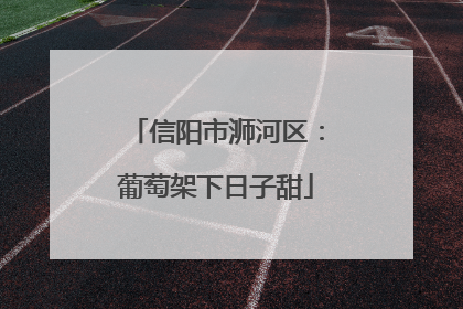 信阳市浉河区：葡萄架下日子甜