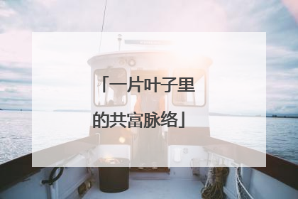 一片叶子里的共富脉络