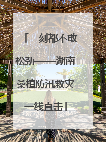 一刻都不敢松劲——湖南桑植防汛救灾一线直击