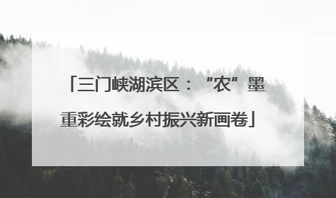 三门峡湖滨区：“农”墨重彩绘就乡村振兴新画卷