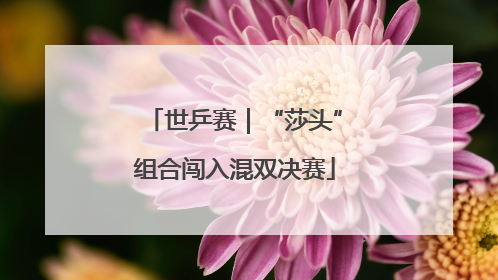 世乒赛｜“莎头”组合闯入混双决赛