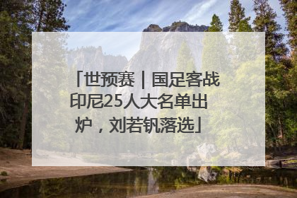 世预赛｜国足客战印尼25人大名单出炉，刘若钒落选