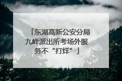 东湖高新公安分局九峰派出所考场外服务不“打烊”