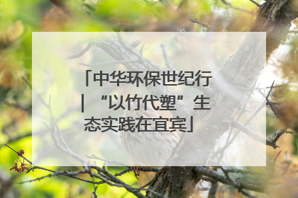 中华环保世纪行｜“以竹代塑”生态实践在宜宾