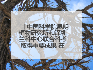 中国科学院昆明植物研究所和深圳兰科中心联合科考取得重要成果 在神农架发现两种“国保”级兰花