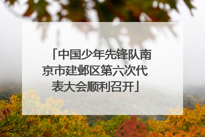 中国少年先锋队南京市建邺区第六次代表大会顺利召开