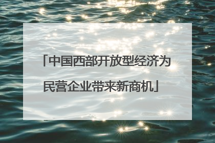中国西部开放型经济为民营企业带来新商机
