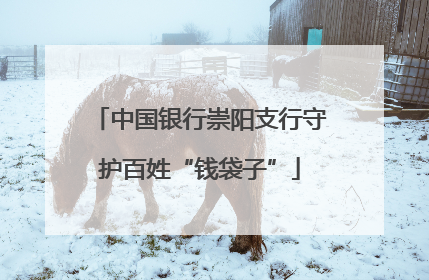 中国银行崇阳支行守护百姓“钱袋子”