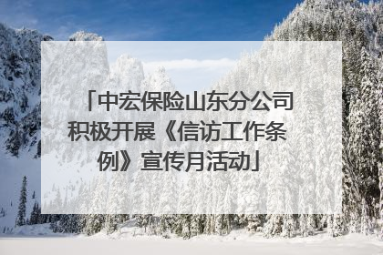 中宏保险山东分公司积极开展《信访工作条例》宣传月活动