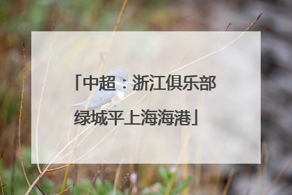 中超：浙江俱乐部绿城平上海海港