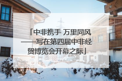 中非携手 万里同风——写在第四届中非经贸博览会开幕之际