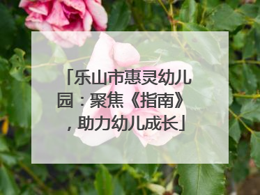 乐山市惠灵幼儿园：聚焦《指南》，助力幼儿成长