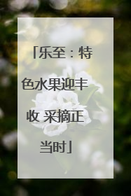 乐至：特色水果迎丰收 采摘正当时