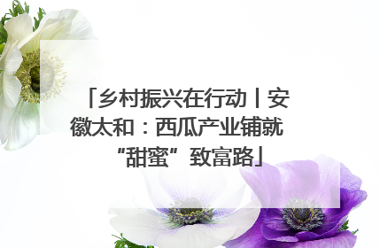 乡村振兴在行动丨安徽太和：西瓜产业铺就“甜蜜”致富路