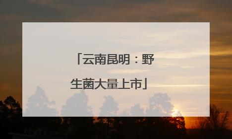 云南昆明：野生菌大量上市