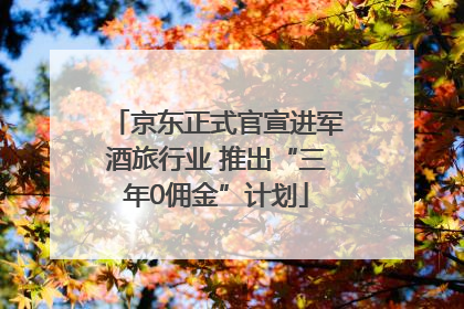 京东正式官宣进军酒旅行业 推出“三年0佣金”计划