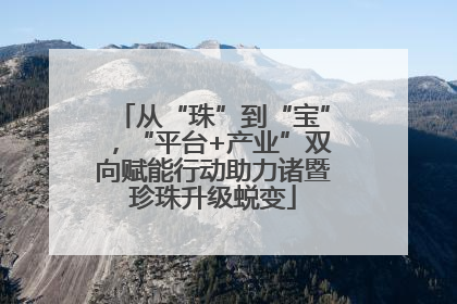 从“珠”到“宝”，“平台+产业”双向赋能行动助力诸暨珍珠升级蜕变