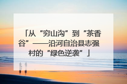 从“穷山沟”到“茶香谷”——沿河自治县志强村的“绿色逆袭”
