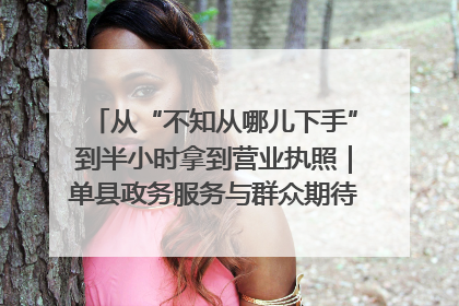 从“不知从哪儿下手”到半小时拿到营业执照｜单县政务服务与群众期待的“双向奔赴”