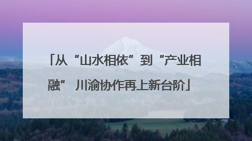 从“山水相依”到“产业相融” 川渝协作再上新台阶
