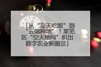 从“靠天吃饭”到“云端种地”！莱芜区“空天地网”织出数字农业新图景