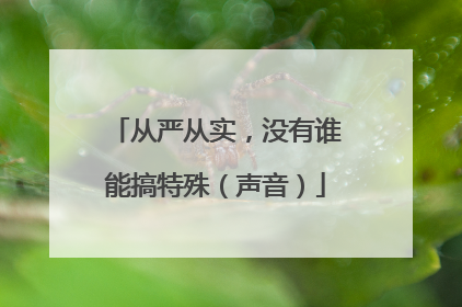 从严从实，没有谁能搞特殊（声音）