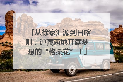 从徐家汇源到日喀则，沪藏两地开满梦想的“格桑花”！