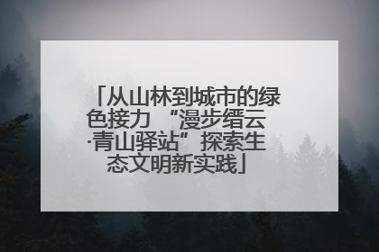 从山林到城市的绿色接力 “漫步缙云·青山驿站”探索生态文明新实践