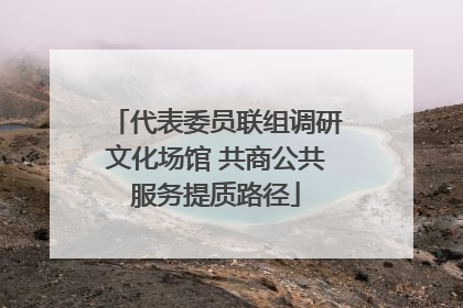 代表委员联组调研文化场馆 共商公共服务提质路径