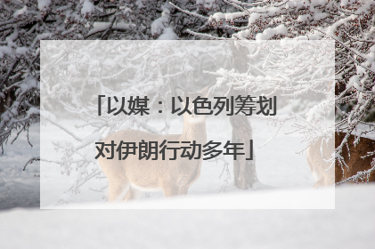 以媒：以色列筹划对伊朗行动多年