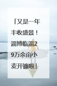 又是一年丰收盛景！淄博临淄29万余亩小麦开镰啦