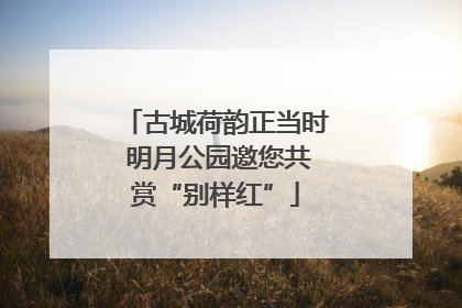 古城荷韵正当时 明月公园邀您共赏“别样红”