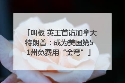 叫板 英王首访加拿大 特朗普：成为美国第51州免费用“金穹”