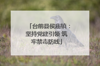 台前县侯庙镇：坚持党建引领 筑牢禁毒防线