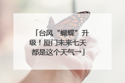 台风“蝴蝶”升级！厦门未来七天都是这个天气→