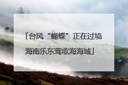 台风“蝴蝶”正在过境海南乐东莺歌海海域