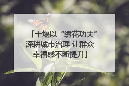 十堰以“绣花功夫”深耕城市治理 让群众幸福感不断提升