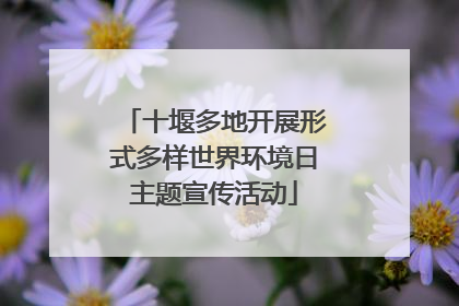 十堰多地开展形式多样世界环境日主题宣传活动
