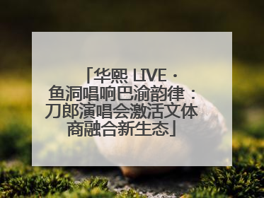 华熙 LIVE・鱼洞唱响巴渝韵律：刀郎演唱会激活文体商融合新生态