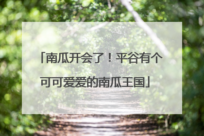 南瓜开会了！平谷有个可可爱爱的南瓜王国