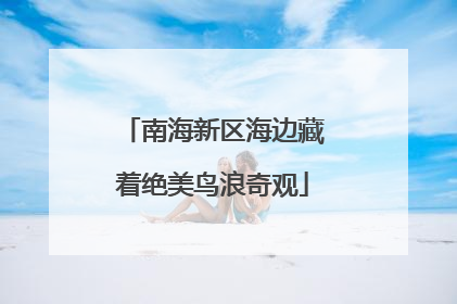 南海新区海边藏着绝美鸟浪奇观