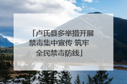 卢氏县多举措开展禁毒集中宣传 筑牢全民禁毒防线