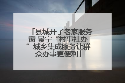 县城开了老家服务窗 景宁“村事社办”城乡集成服务让群众办事更便利