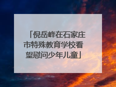 倪岳峰在石家庄市特殊教育学校看望慰问少年儿童