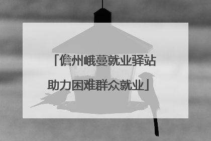 儋州峨蔓就业驿站助力困难群众就业