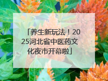 养生新玩法！2025河北省中医药文化夜市开幕啦