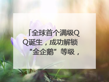 全球首个满级QQ诞生，成功解锁“金企鹅”等级，腾讯高管回应