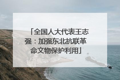 全国人大代表王志强：加强东北抗联革命文物保护利用