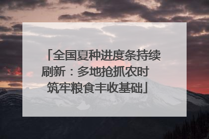 全国夏种进度条持续刷新：多地抢抓农时 筑牢粮食丰收基础