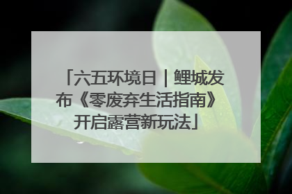 六五环境日｜鲤城发布《零废弃生活指南》开启露营新玩法